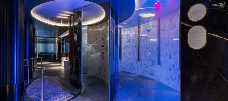 Norwegian Cruise Thermal Spa Shower
